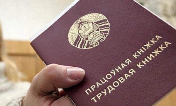 В Беларуси за полгода трудоустроились около 36 тыс. молодых людей