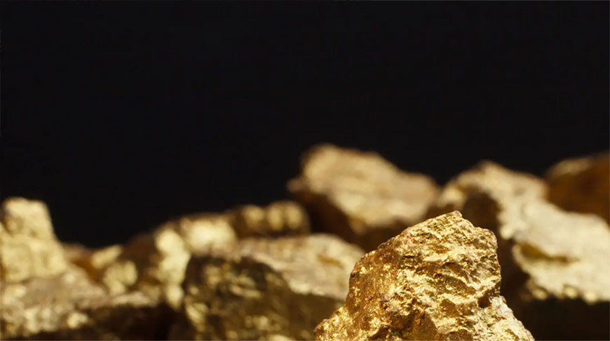 Житель Франции нашел у себя в саду клад с золотом на 700 тыс. евро