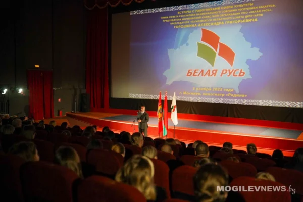 Александр Горошкин встретился с работниками сферы культуры