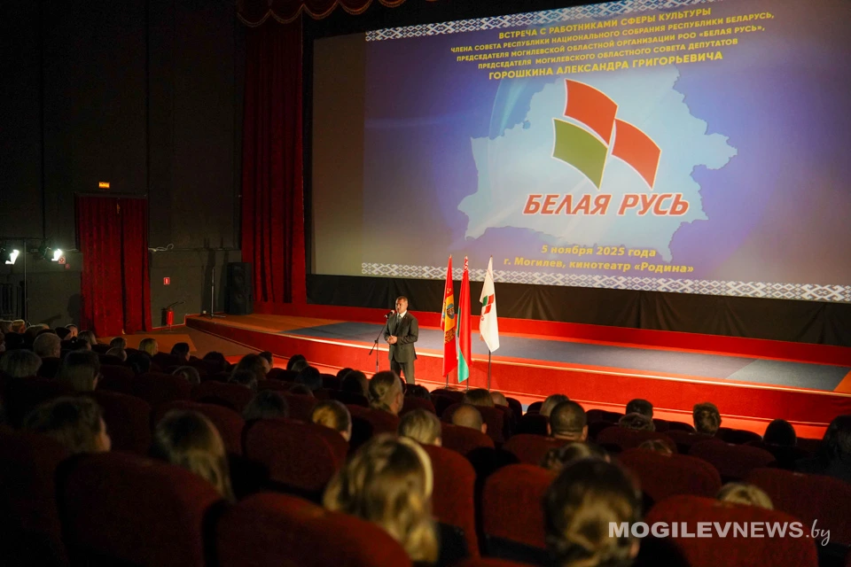 Александр Горошкин встретился с работниками сферы культуры