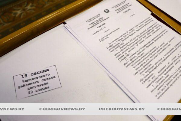 Районный бюджет, подарки детям, поддержка библиотек и не только… — вопросы внеочередной сессии депутатов райсовета