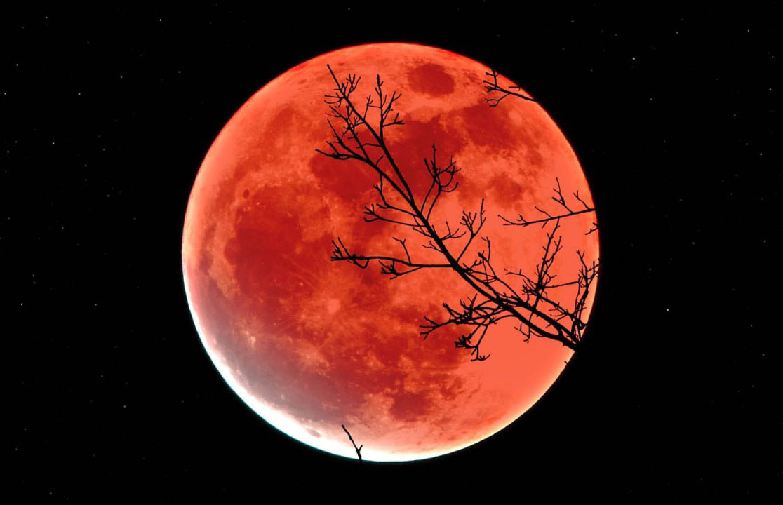 Ночь самой большой Луны: не пропустите суперлуние 5 ноября