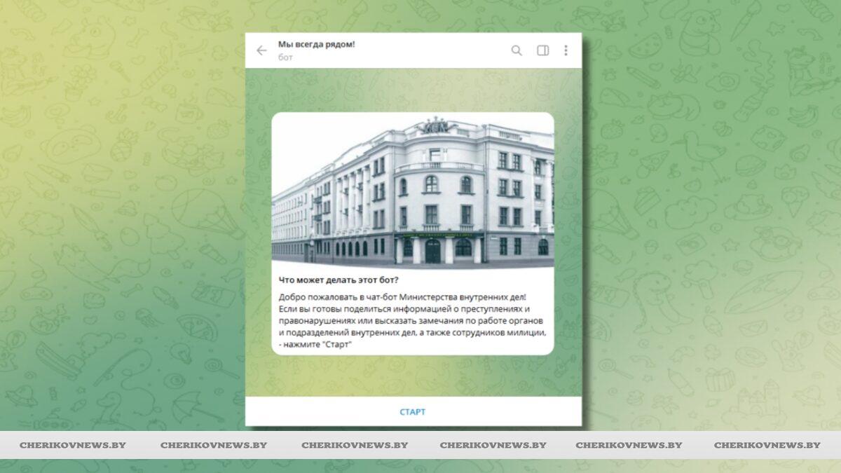 Чат-бот МВД теперь работает по всей Беларуси — сообщения принимают круглосуточно