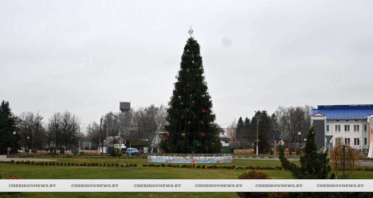 Волшебство начинается: 15 декабря засияет главная елка Черикова