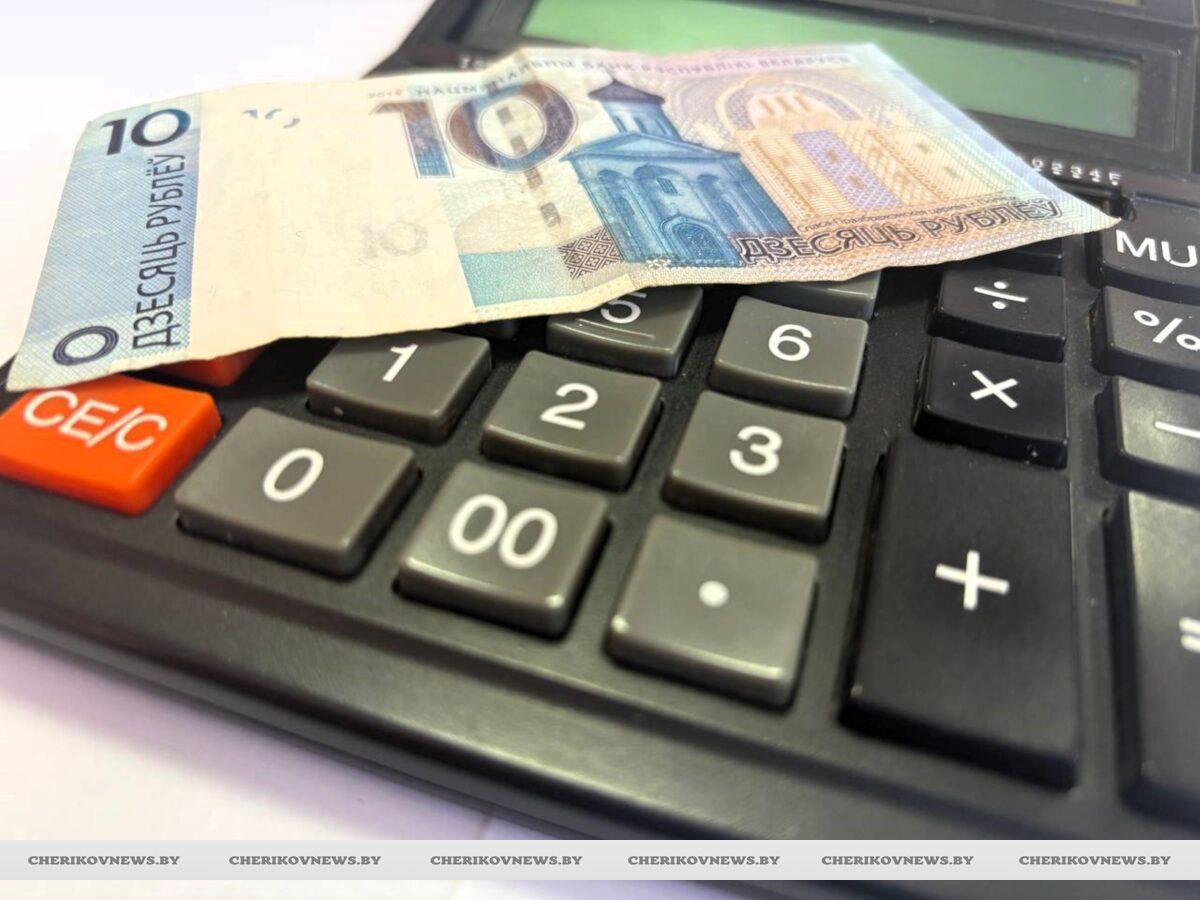 10 рублей в месяц: кто в Беларуси будет платить за свою деятельность с февраля