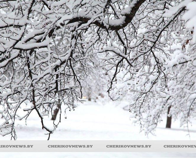 В Кличеве побит температурный рекорд 1987 года