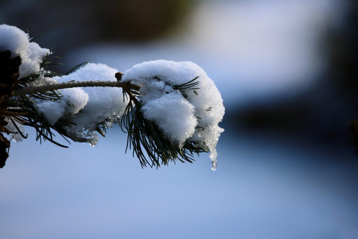 Погода в Беларуси на выходные: морозы отступают