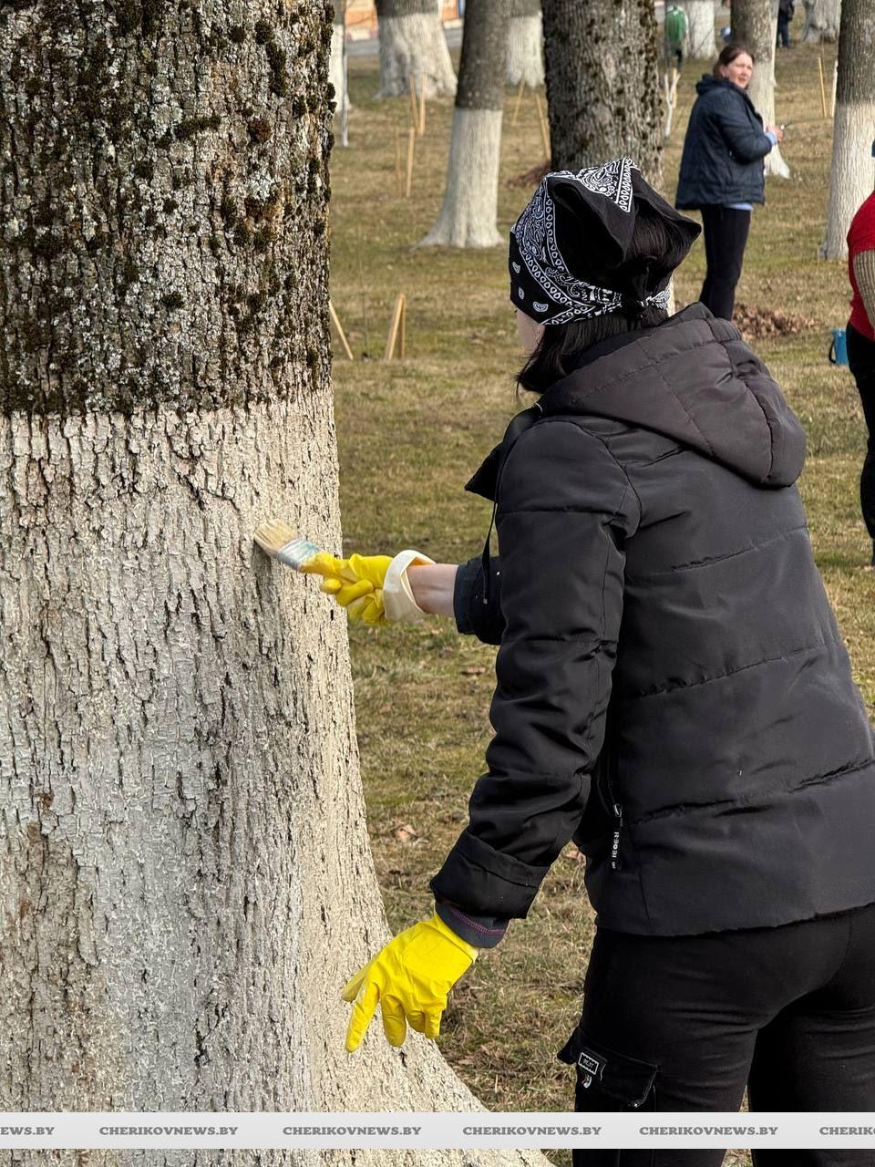 Субботник в Черикове — делаем большое дело вместе