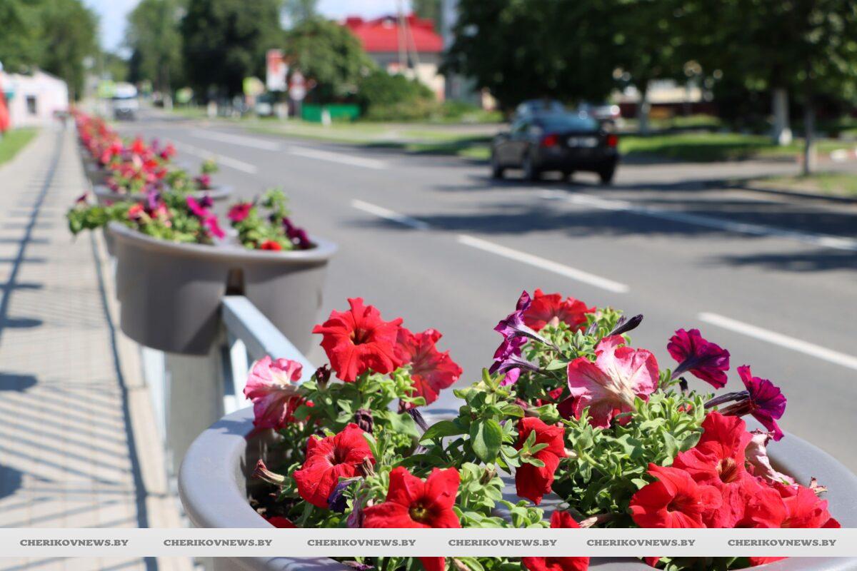 Подведены итоги Года благоустройства в Беларуси. Кто в числе лучших?