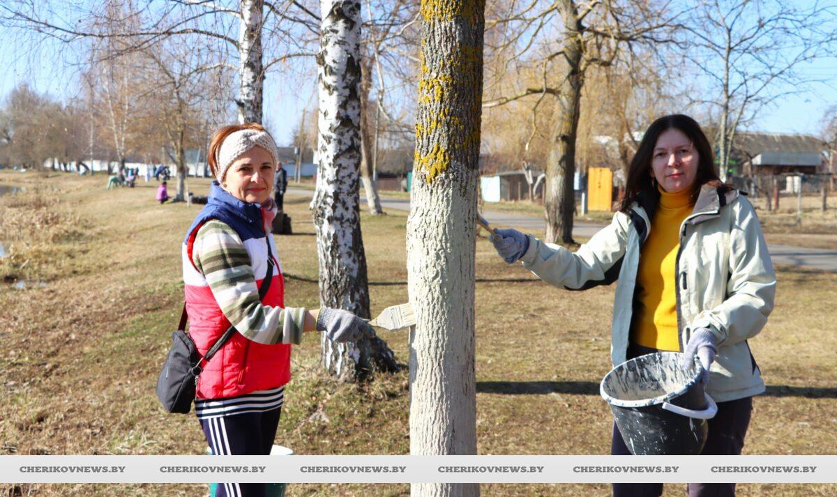 Труд на благо родной земли: на Чериковщине прошел районный субботник