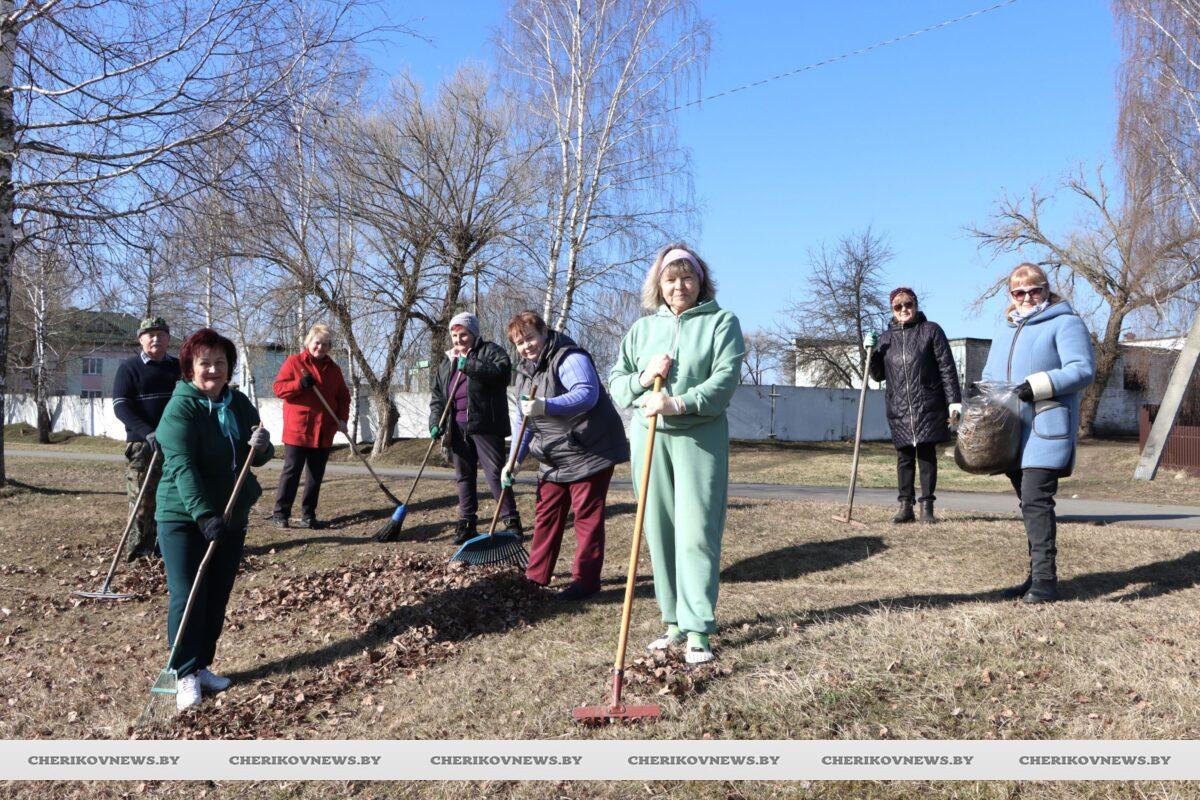 Ветераны Чериковщины дружно взялись… за грабли