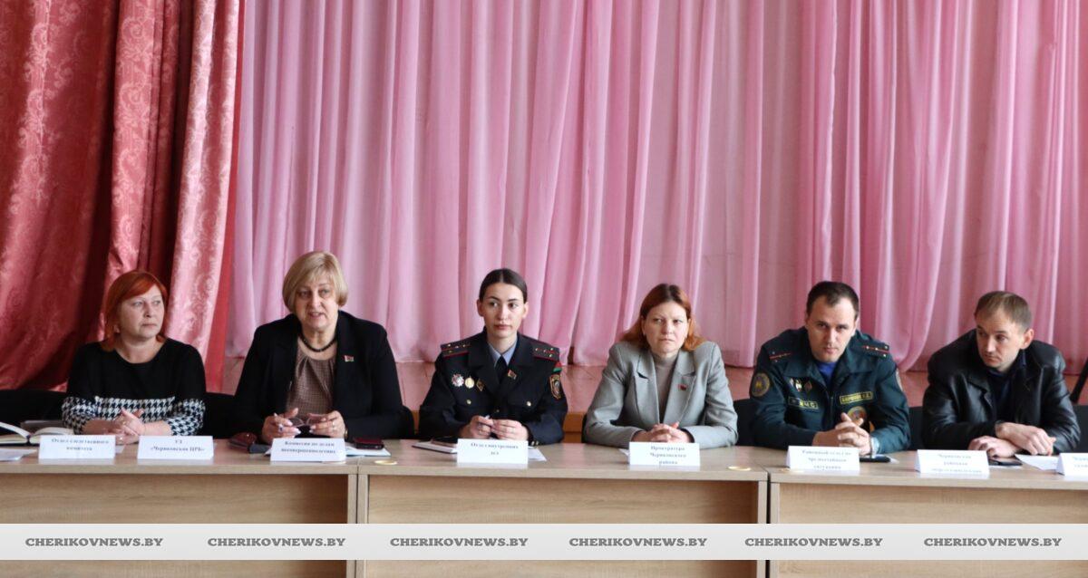 Межведомственный семинар в Чериковском районе: обсудили вопросы профилактики семейного неблагополучия и защиты детей