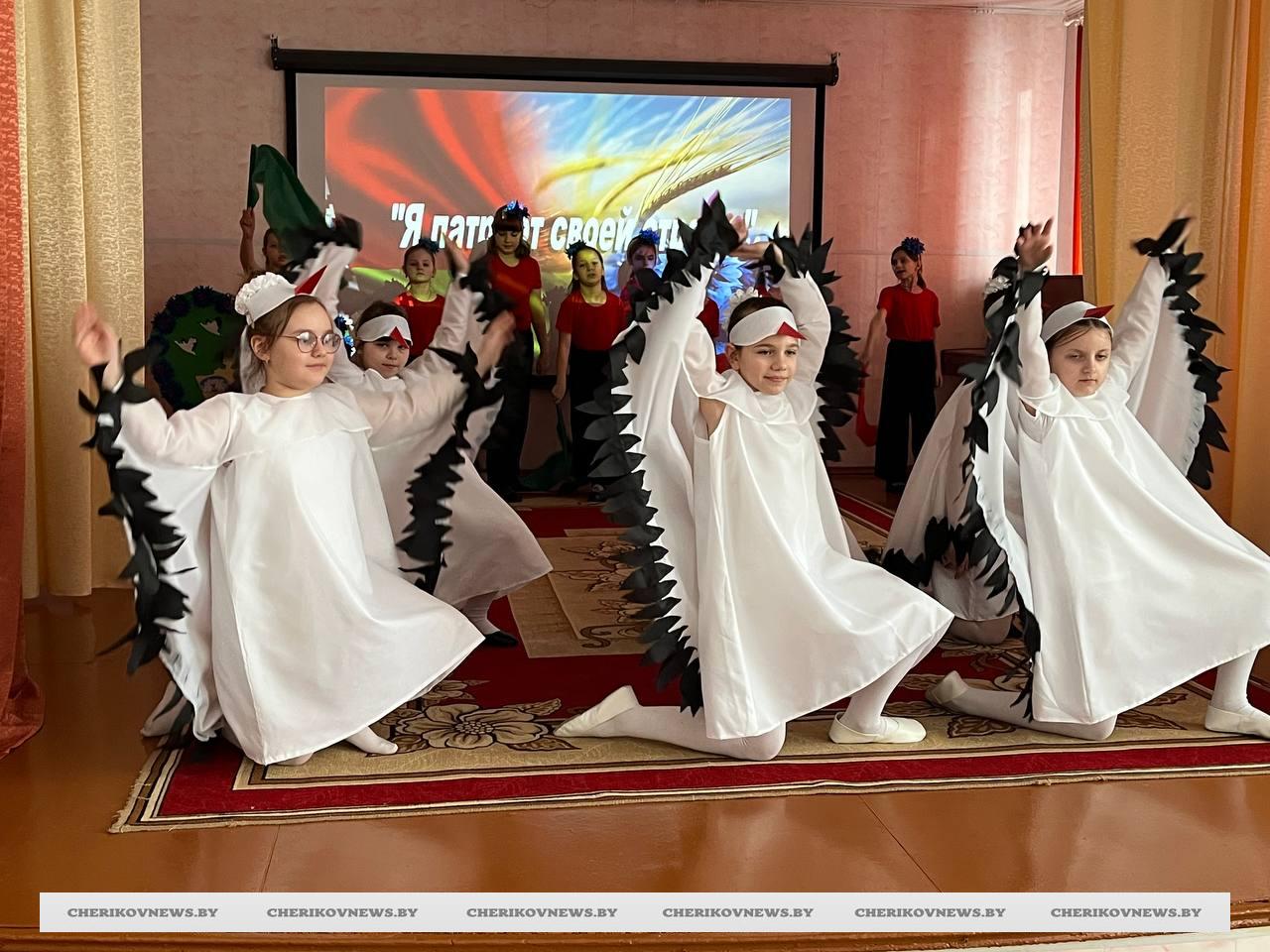 «Я патриот своей страны»: кто из чериковских школьников боролся за победу в одноименном конкурсе и кто ее одержал?