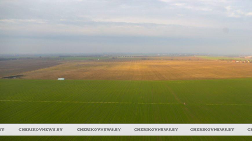 Белгидромет: на предстоящей неделе по мере повышения температуры активизируется вегетация растений