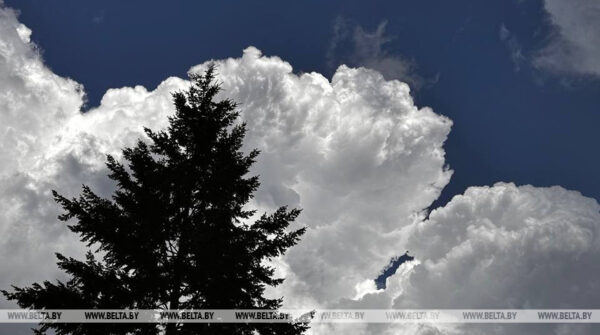 Гослесохрана перейдет на усиленные дежурства в большие выходные перед Радуницей