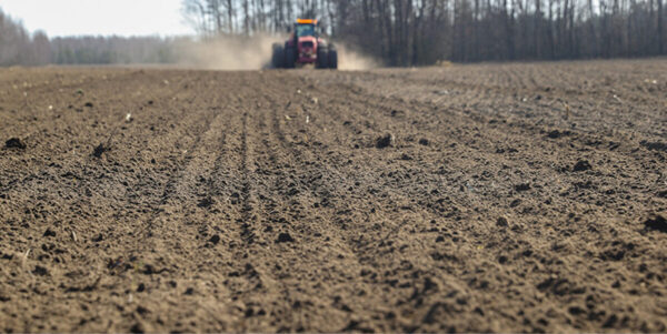 Александру Лукашенко доложили о ходе весенних полевых работ в Беларуси