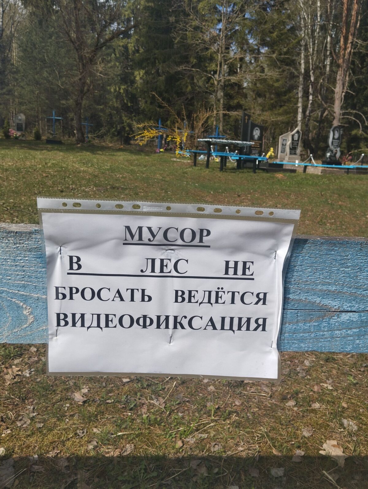 Фотоловушки в Чериковском районе зафиксировали новых нарушителей: на этот раз на кладбище