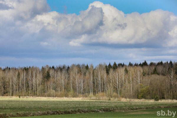 Погода в Беларуси 20 апреля: преимущественно без осадков и от -3 °С до +14 °С