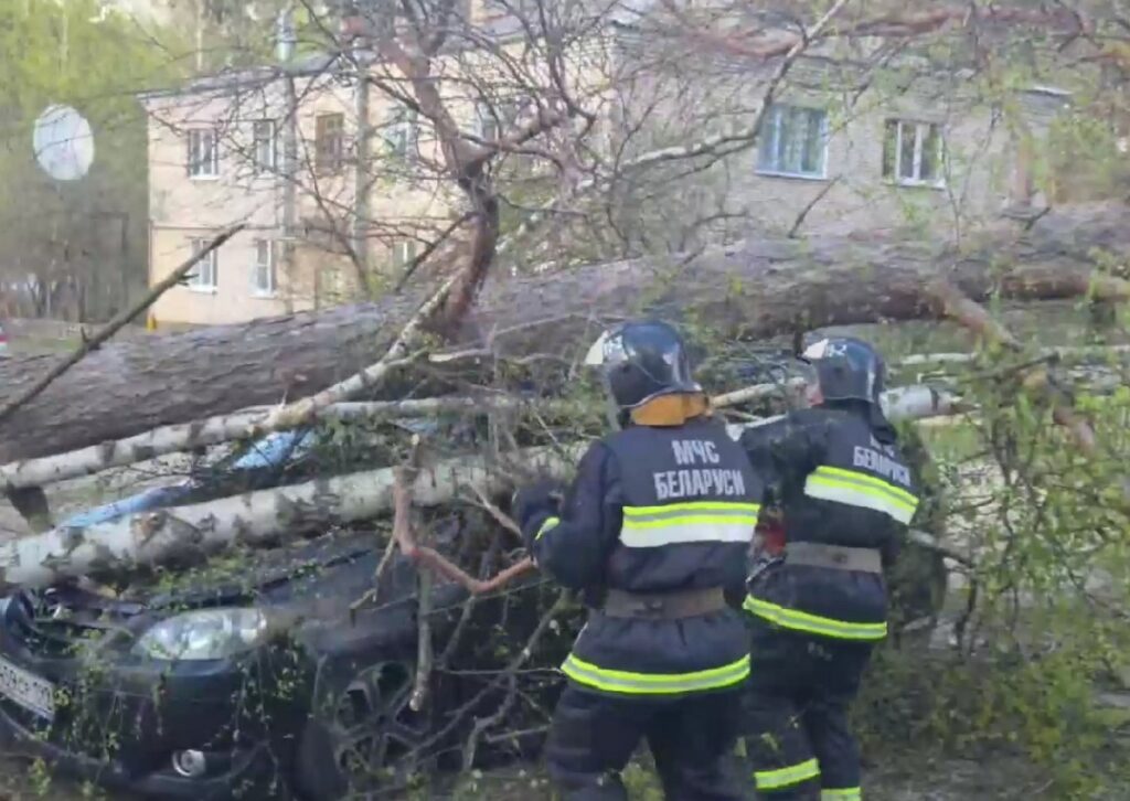 В Беларуси из-за ураганного ветра пострадали 16 населенных пунктов. В Черикове травмирован ребенок