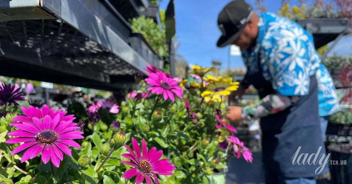 Весна на огороде — как работать без вреда для здоровья