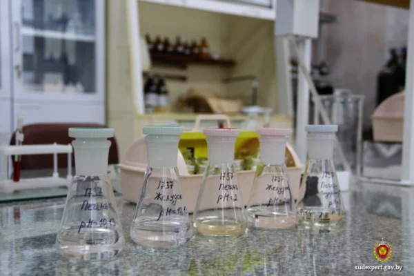 Почти шесть промилле: ряд «рекордных» смертельных случаев отравления алкоголем произошел в Могилевской области