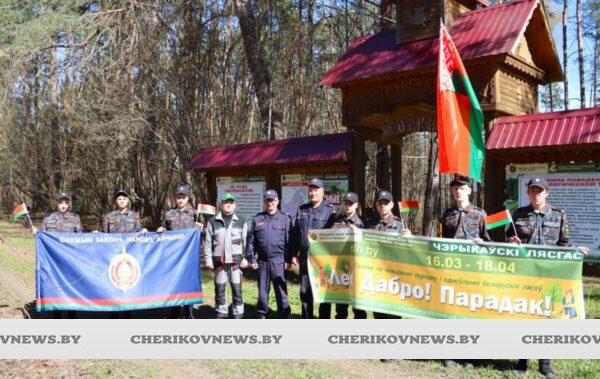 В Чериковском районе проходит акция «Лес! Добро! Порядок!»