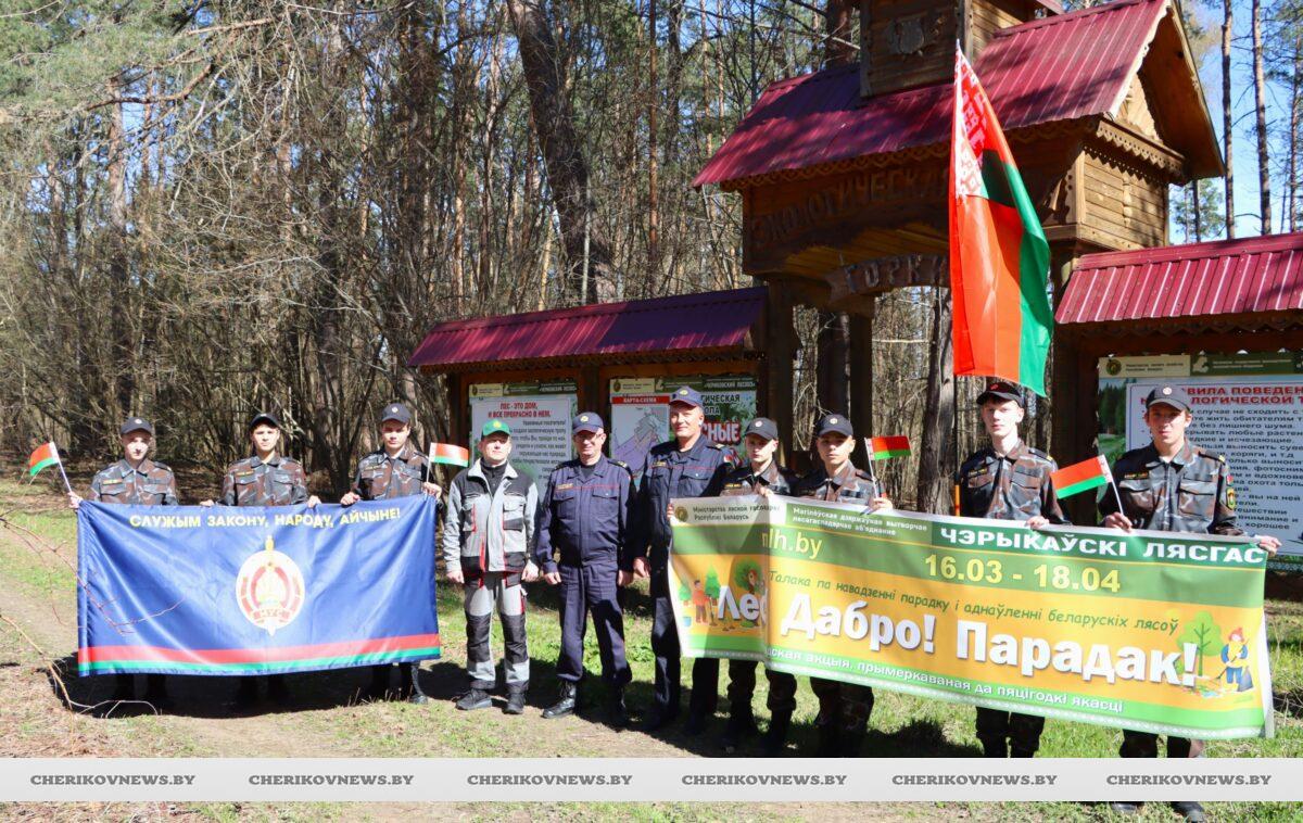 В Чериковском районе проходит акция «Лес! Добро! Порядок!»