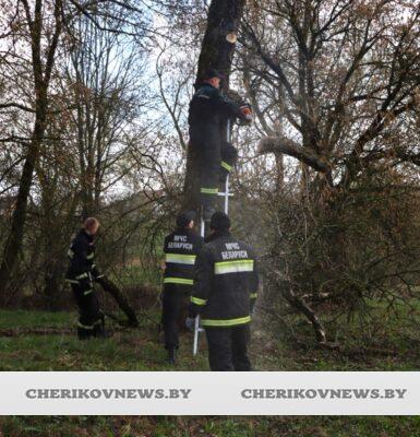 Спасатели Чериковщины приняли участие в республиканском субботнике