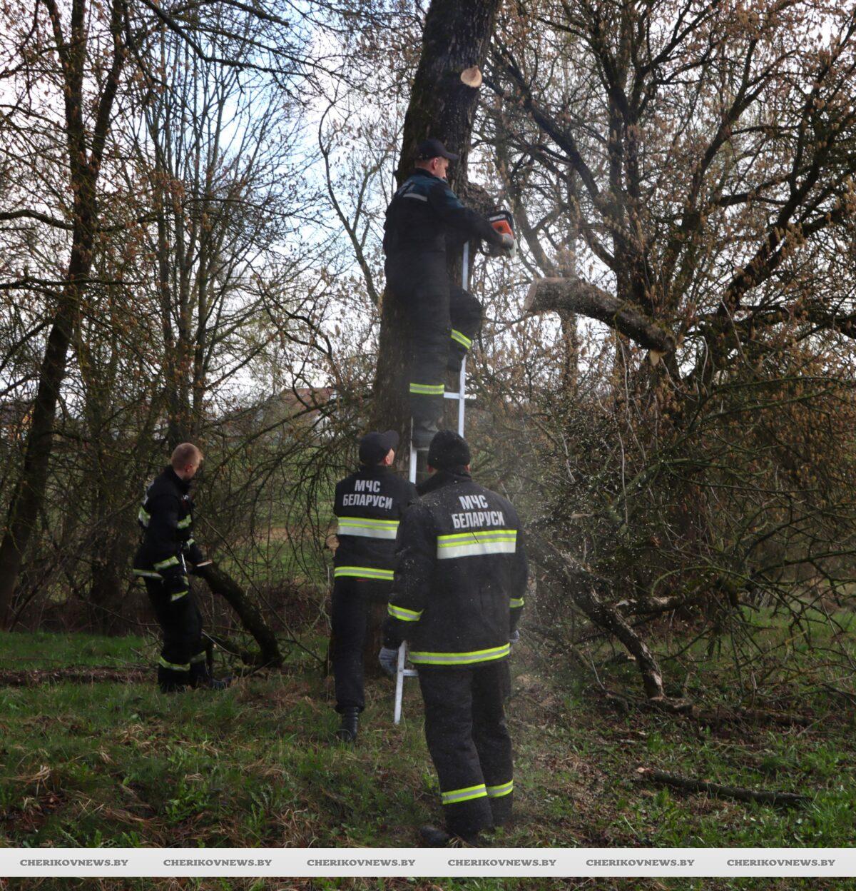 Спасатели Чериковщины приняли участие в республиканском субботнике