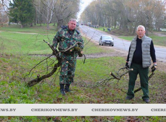 Вместе работа спорится: на Чериковщине проходит республиканский субботник