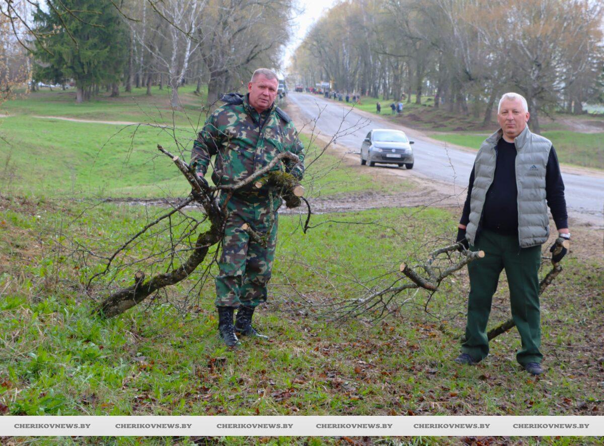 Вместе работа спорится: на Чериковщине проходит республиканский субботник