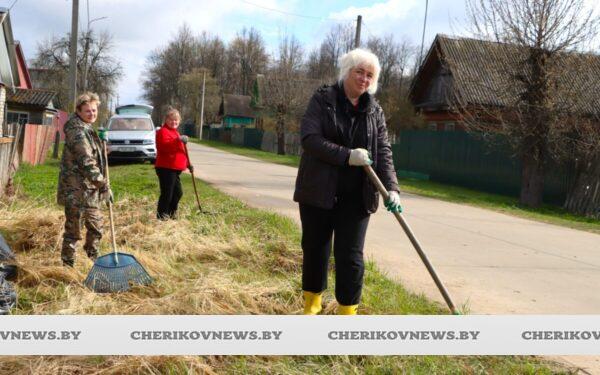 За чистоту вместе: жители Чериковского района приняли активное участие в  республиканском субботнике