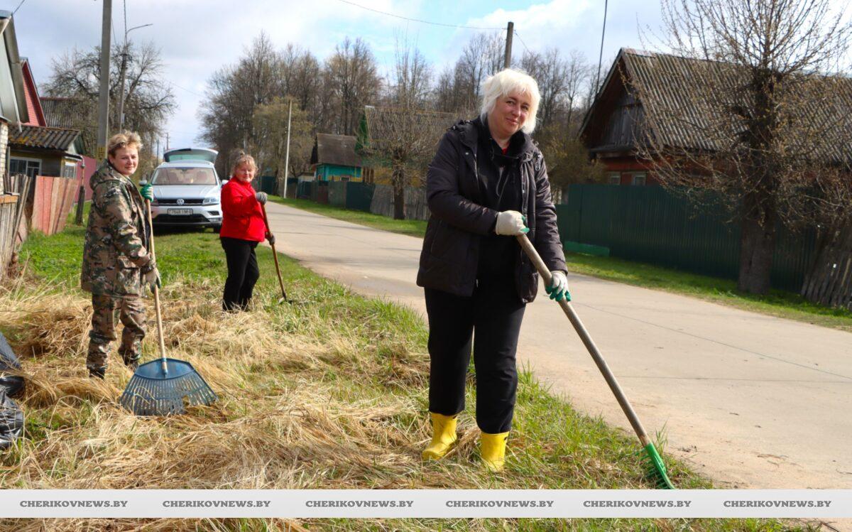 За чистоту вместе: жители Чериковского района приняли активное участие в республиканском субботнике