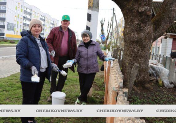 Ветеранский актив Чериковщины присоединился к республиканскому субботнику