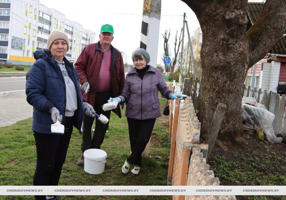 Ветеранский актив Чериковщины присоединился к республиканскому субботнику