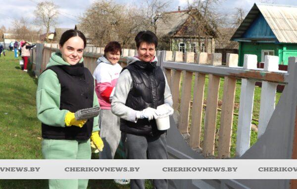 Чериковщина преображается: республиканский субботник объединил поколения