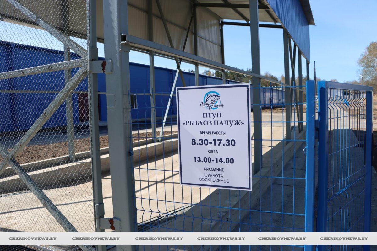 Рыбоводческий комплекс в Черикове: рассказываем о работе нашего нового предприятия