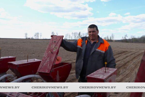 Аграрии Чериковщины сеют кукурузу