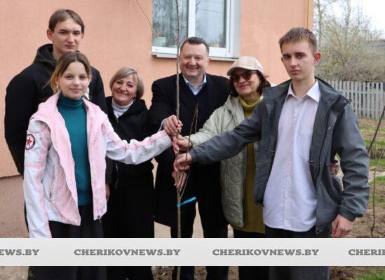 Цветущее дерево — символ жизни: вишневая  аллея заложена на Чериковщине