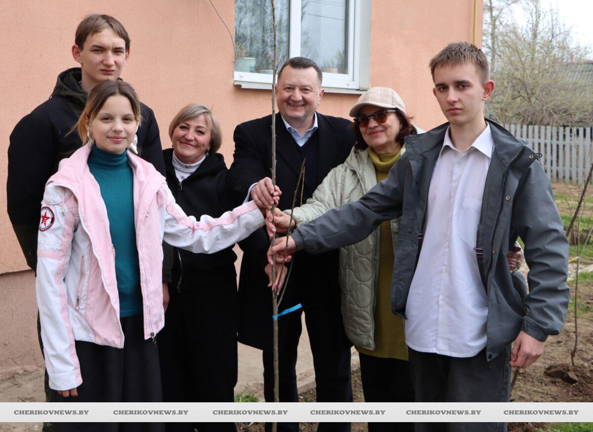 Цветущее дерево — символ жизни: вишневая  аллея заложена на Чериковщине