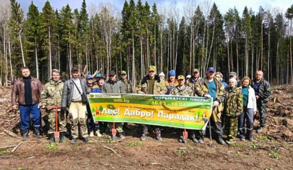 Коллектив Чериковского лесхоза присоединился к республиканскому субботнику: убрали территории и посадили лес