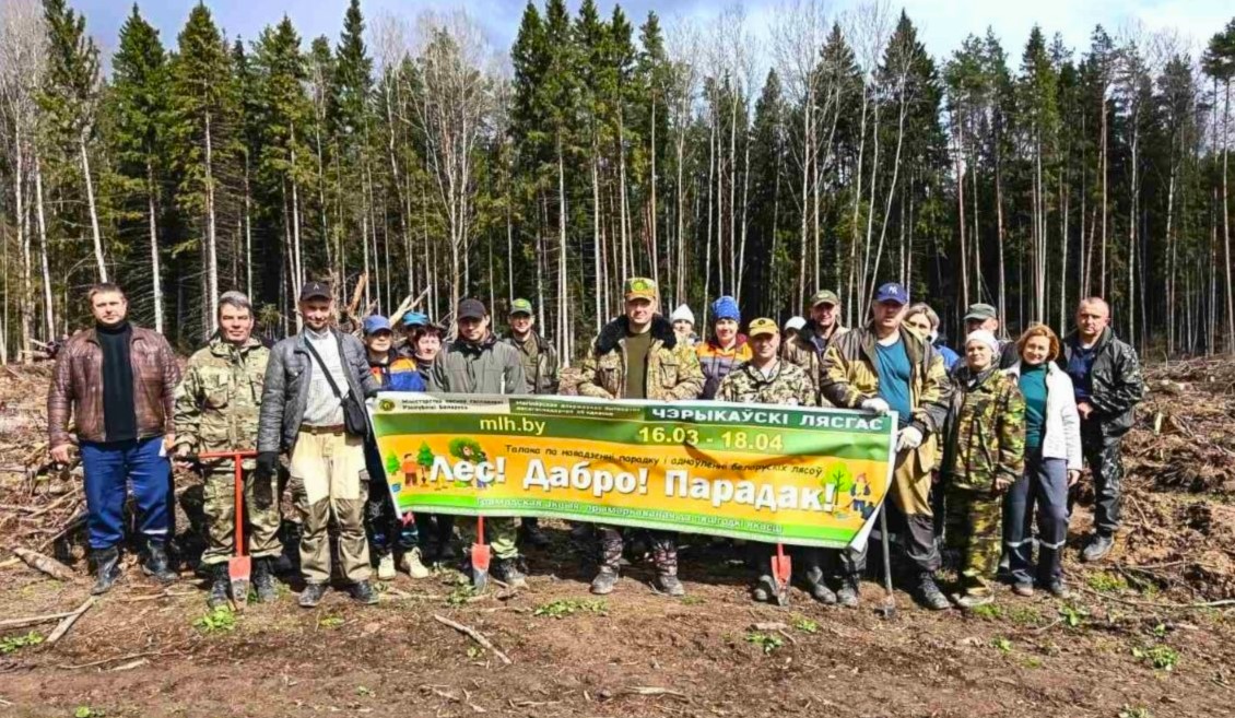 Коллектив Чериковского лесхоза присоединился к республиканскому субботнику: убрали территории и посадили лес