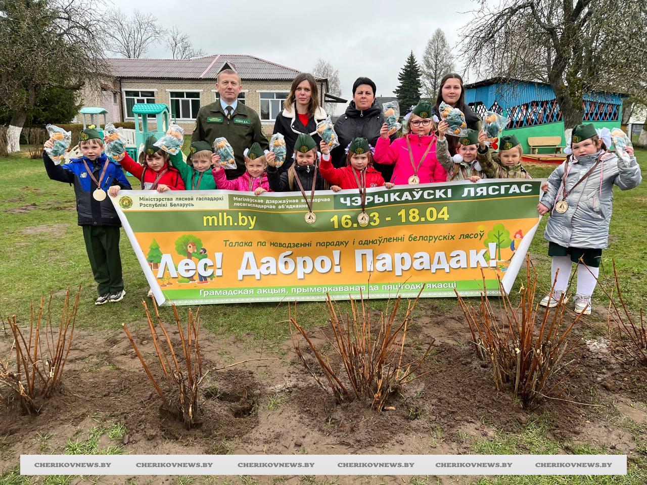 Маленькие герои большой заботы: как воспитанники дошкольного лесничества украсили акцию «Лес! Дабро! Парадак!»
