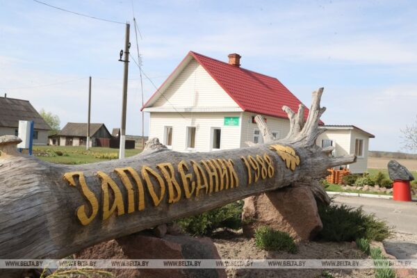 Смотровую вышку с видом на саркофаг планируют открыть в Полесском радиационно-экологическом заповеднике