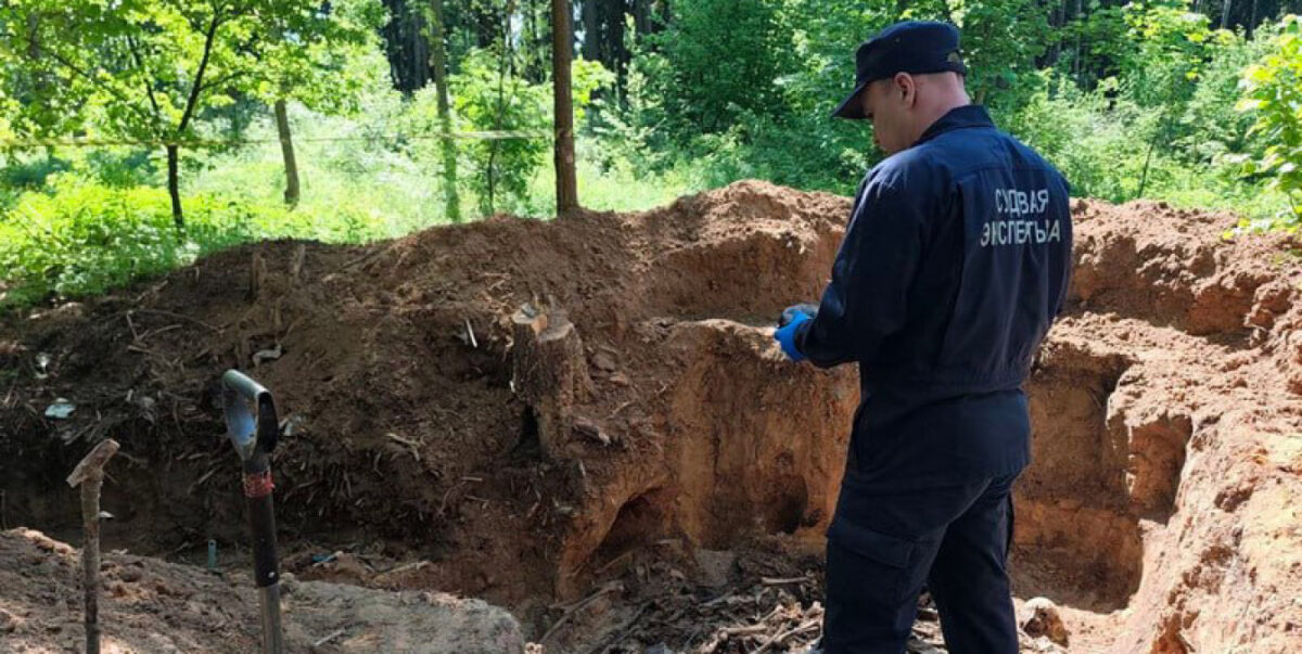 В лесу под Могилевом обнаружили пять новых захоронений Великой Отечественной войны