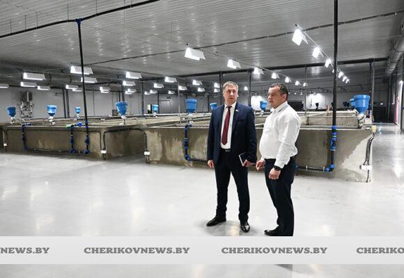 Депутат Палаты представителей Сергей Давыдов ознакомился с работой предприятий рыбоводства и сельского хозяйства Чериковского района