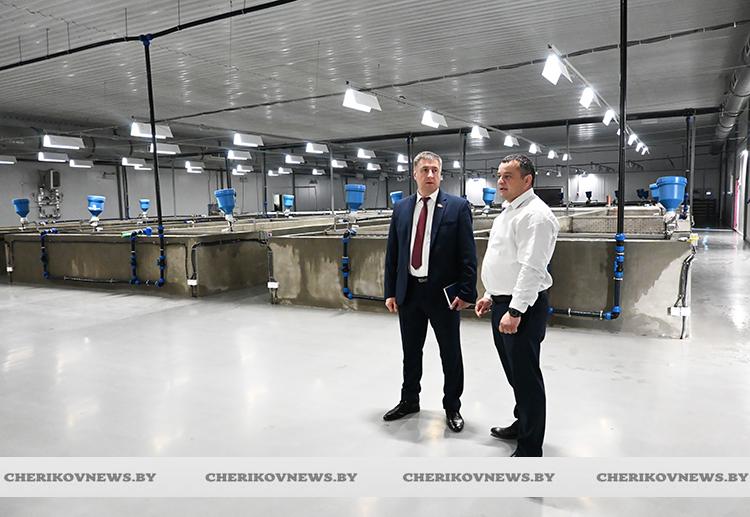 Депутат Палаты представителей Сергей Давыдов ознакомился с работой предприятий рыбоводства и сельского хозяйства Чериковского района