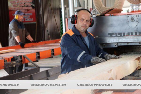 «Ставка на эффективность»: цех по деревообработке Чериковского лесхоза один из лучших в области по итогам полугодия