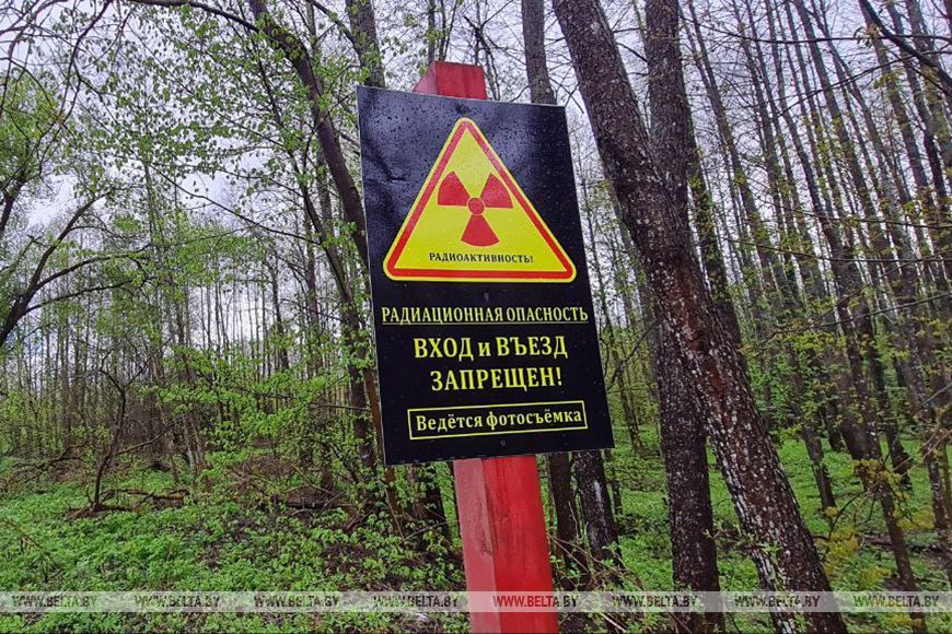 В Беларуси сокращен перечень находящихся в зонах радиоактивного загрязнения населенных пунктов и объектов