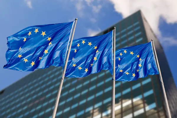 Еврокомиссия планирует ввести возрастное ограничение на интернет-платформы во всех странах ЕС